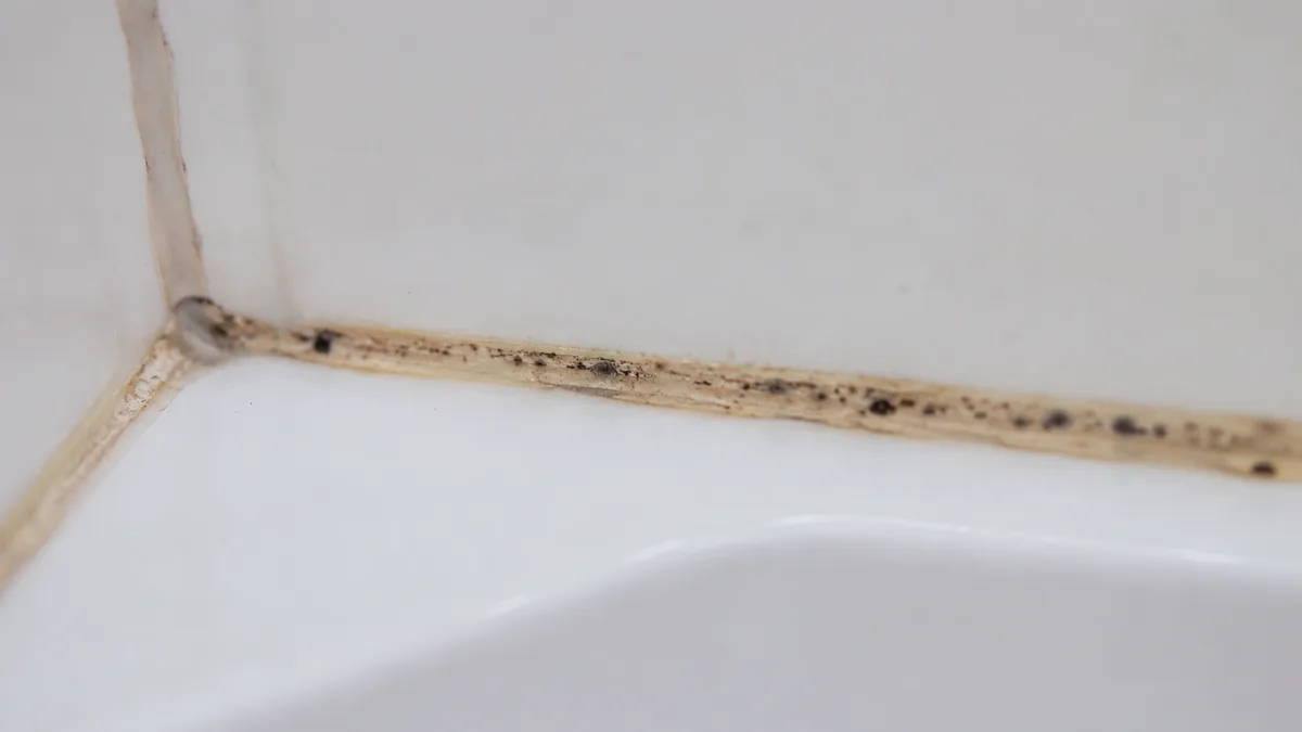 Verfärbte Silikonfuge in der Dusche als häufiger Beanstandungspunkt